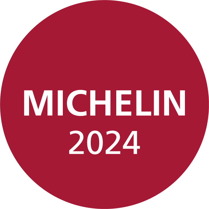 MICHELIN 24