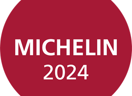 MICHELIN 24